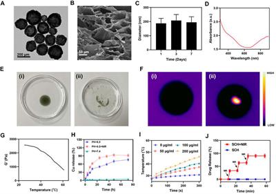 CuS nanoparticles and camptothecin co-loaded thermosensitive injectable hydrogel with self-supplied H2O2 for enhanced chemodynamic therapy